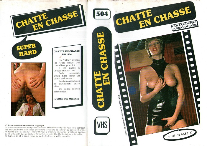 Chatte en chasse  / Кошечки на охоте